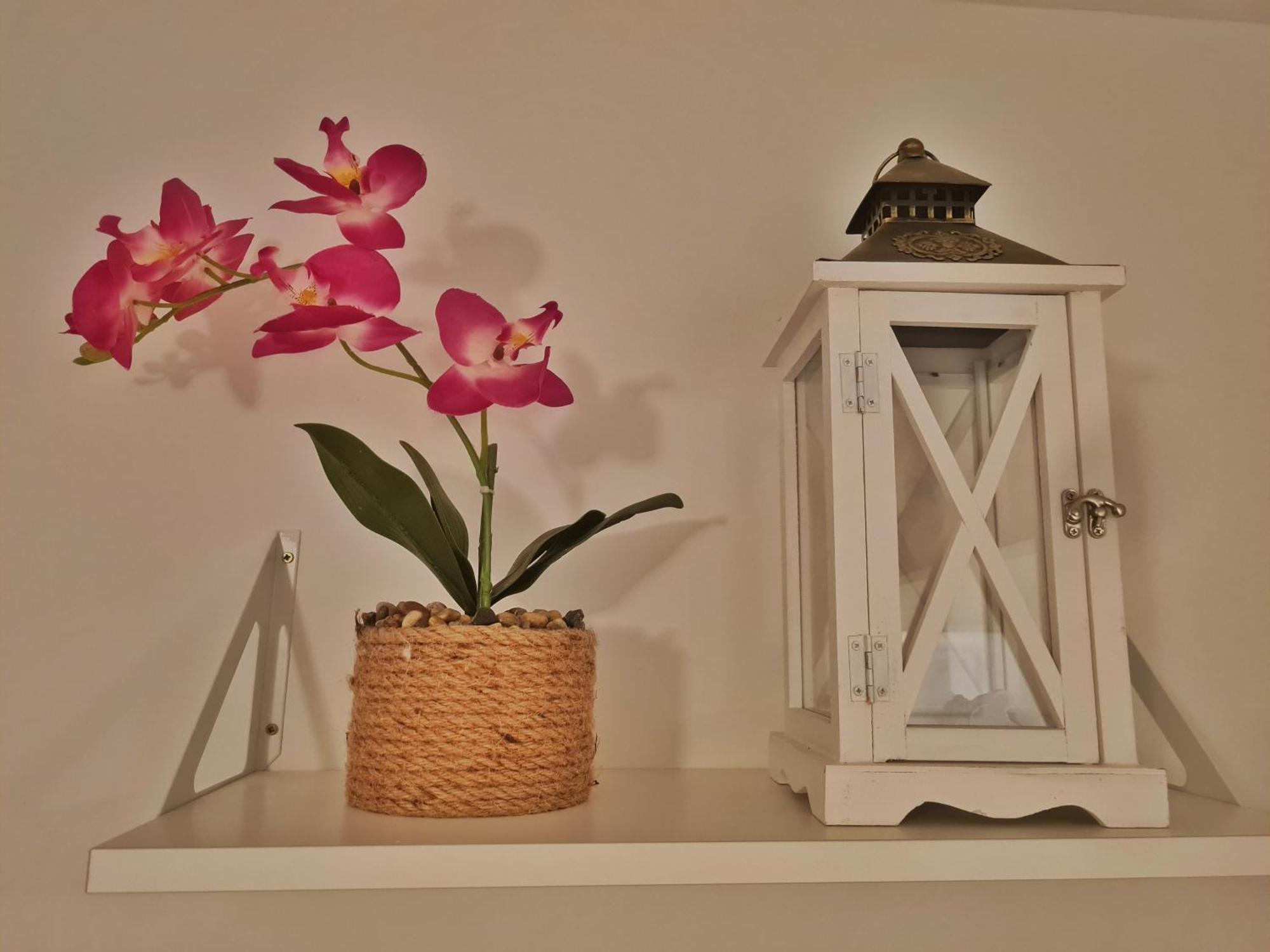 Holiday Place Veli Dvor - Vacation House With Private Garden In Old Town Punat Luaran gambar